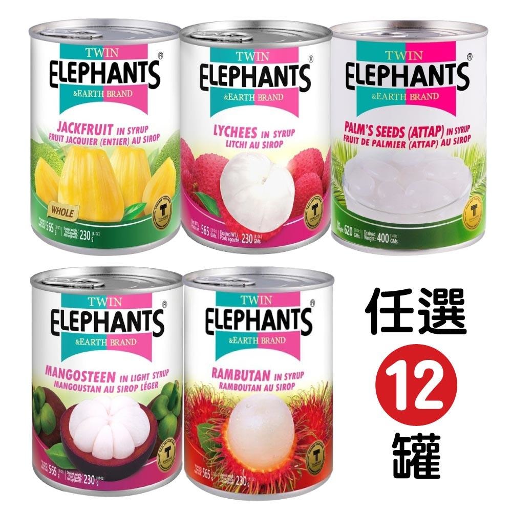 【雙象地球牌】糖水水果罐頭-亞答子/山竹/紅毛丹/荔枝/菠蘿蜜(任選 12 罐)