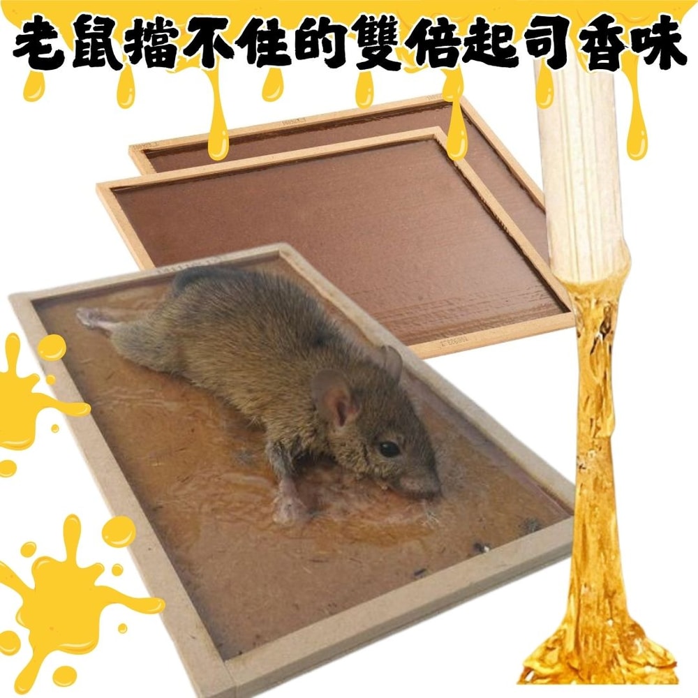 【鱷魚】環保黏鼠板(小)2片x12組