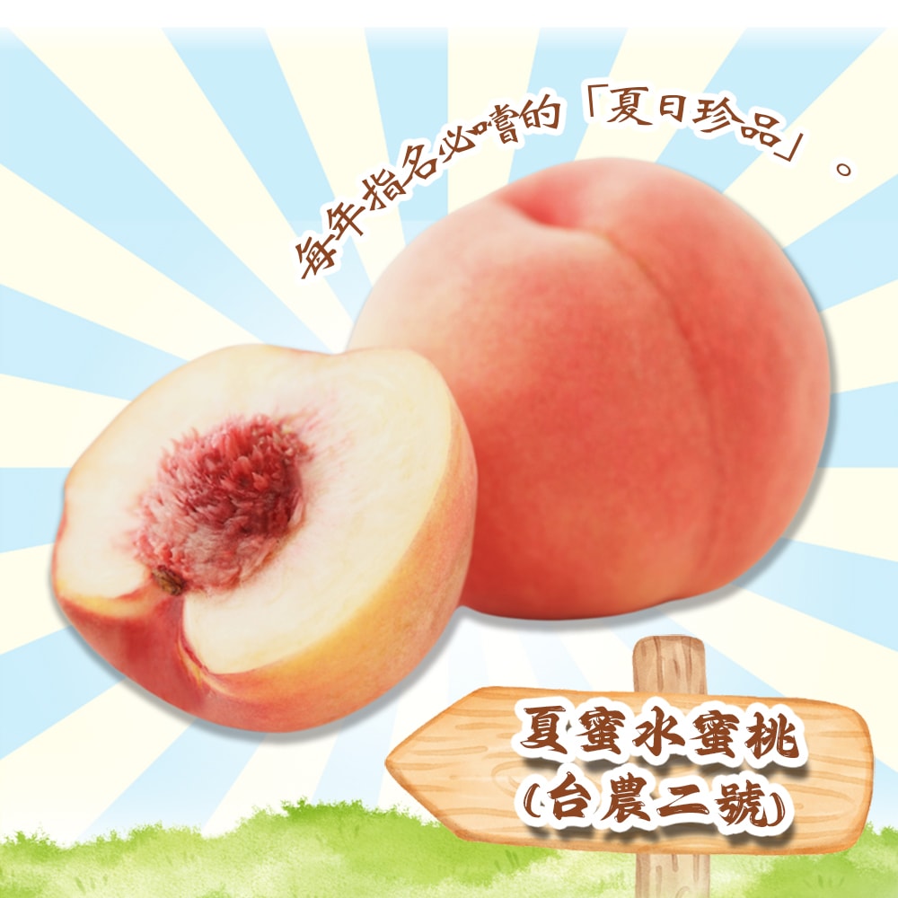 【禾鴻】台中新社夏蜜水蜜桃禮盒8顆x1盒(3斤/盒_含盒重)