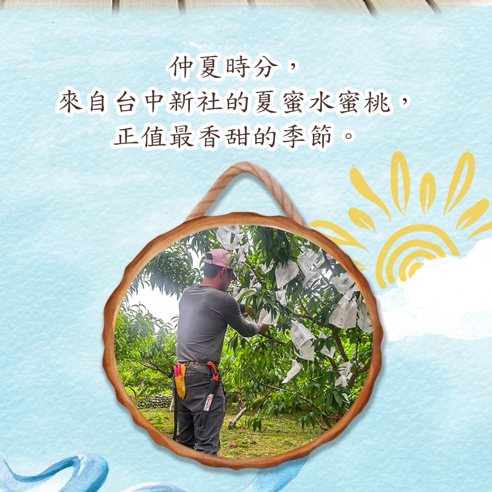 【禾鴻】台中新社夏蜜水蜜桃禮盒8顆x1盒(3斤/盒_含盒重)