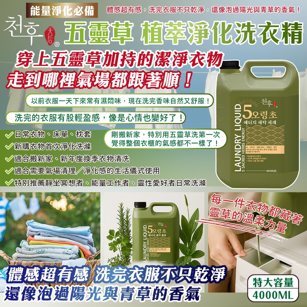 【天后】五靈草植萃淨化洗衣精4000ml-5瓶入