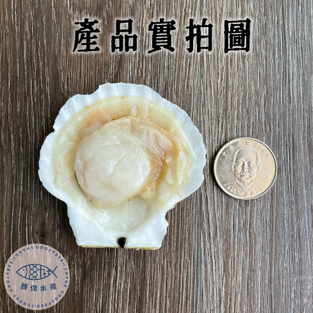 【勝傑水產】(任選)半殼扇貝500g/包