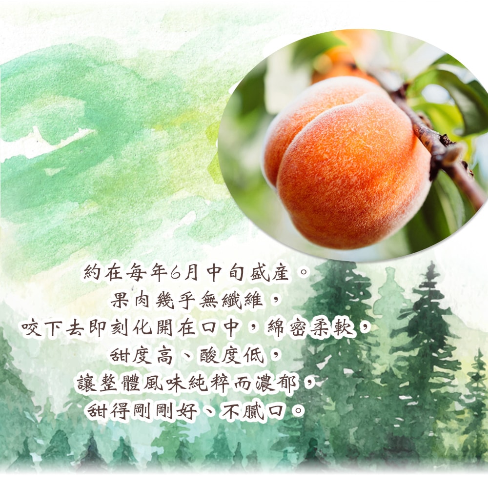 【禾鴻】台中新社夏蜜水蜜桃禮盒8顆x1盒(3斤/盒_含盒重)