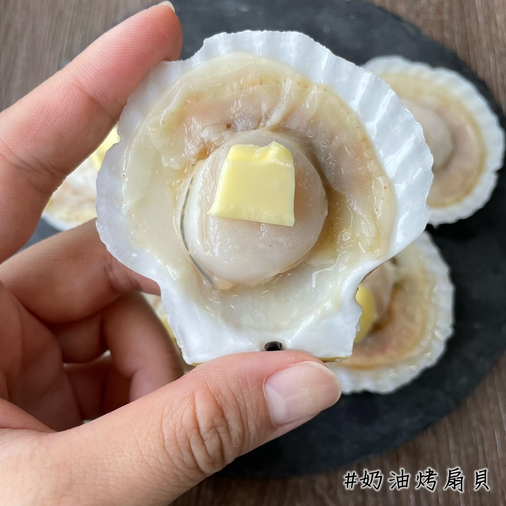 【勝傑水產】(任選)半殼扇貝500g/包