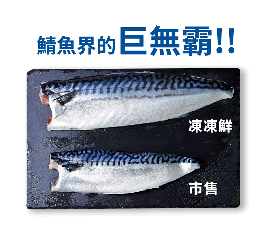 【凍凍鮮】【免運】挪威薄鹽鯖魚片 220-240g (特大)*10入組