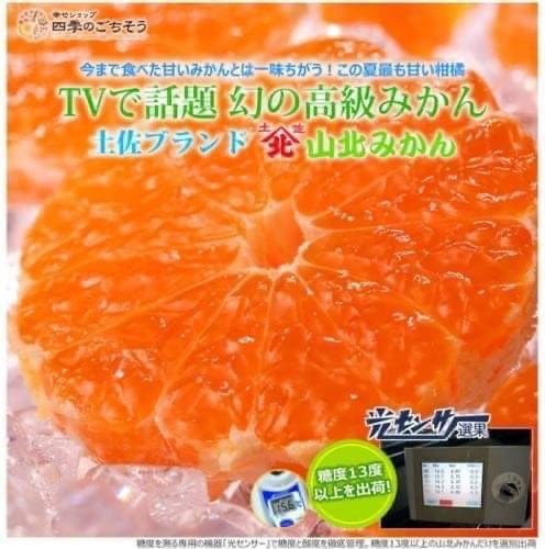 【帕查嬤嬤】🇯🇵日本 高知縣 蜜柑之王 山北 溫州溫室蜜柑 2.5kg🍊|日本水果禮盒