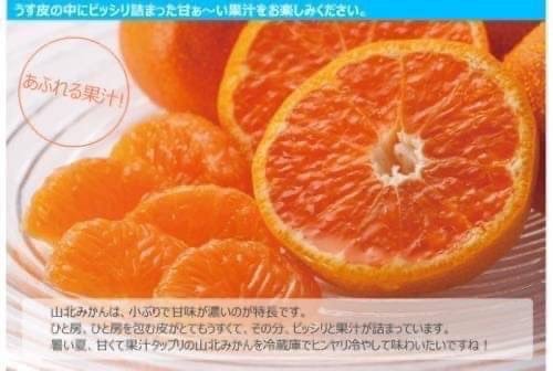 【帕查嬤嬤】🇯🇵日本 高知縣 蜜柑之王 山北 溫州溫室蜜柑 2.5kg🍊|日本水果禮盒