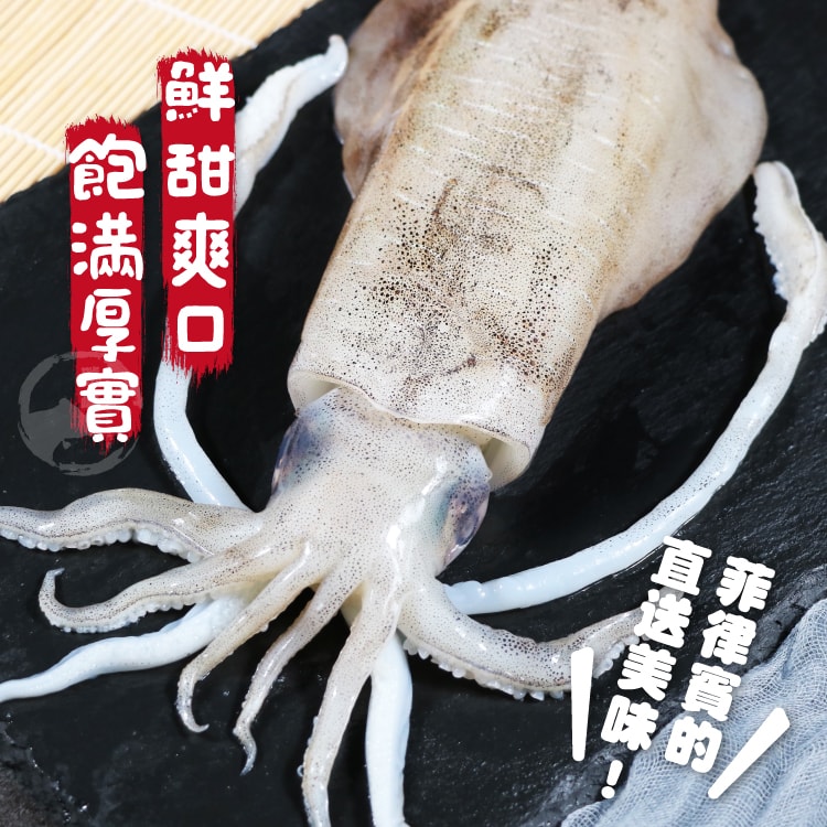 【勝崎生鮮】鮮脆活凍軟絲3隻組(330公克/1隻)
