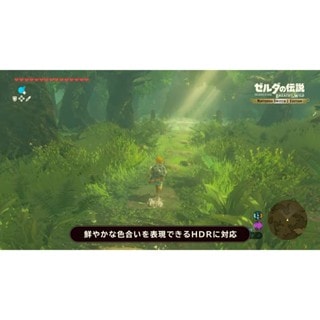 【Nintendo 任天堂】NS 2 Switch 2 薩爾達傳說 王國之淚 中文版