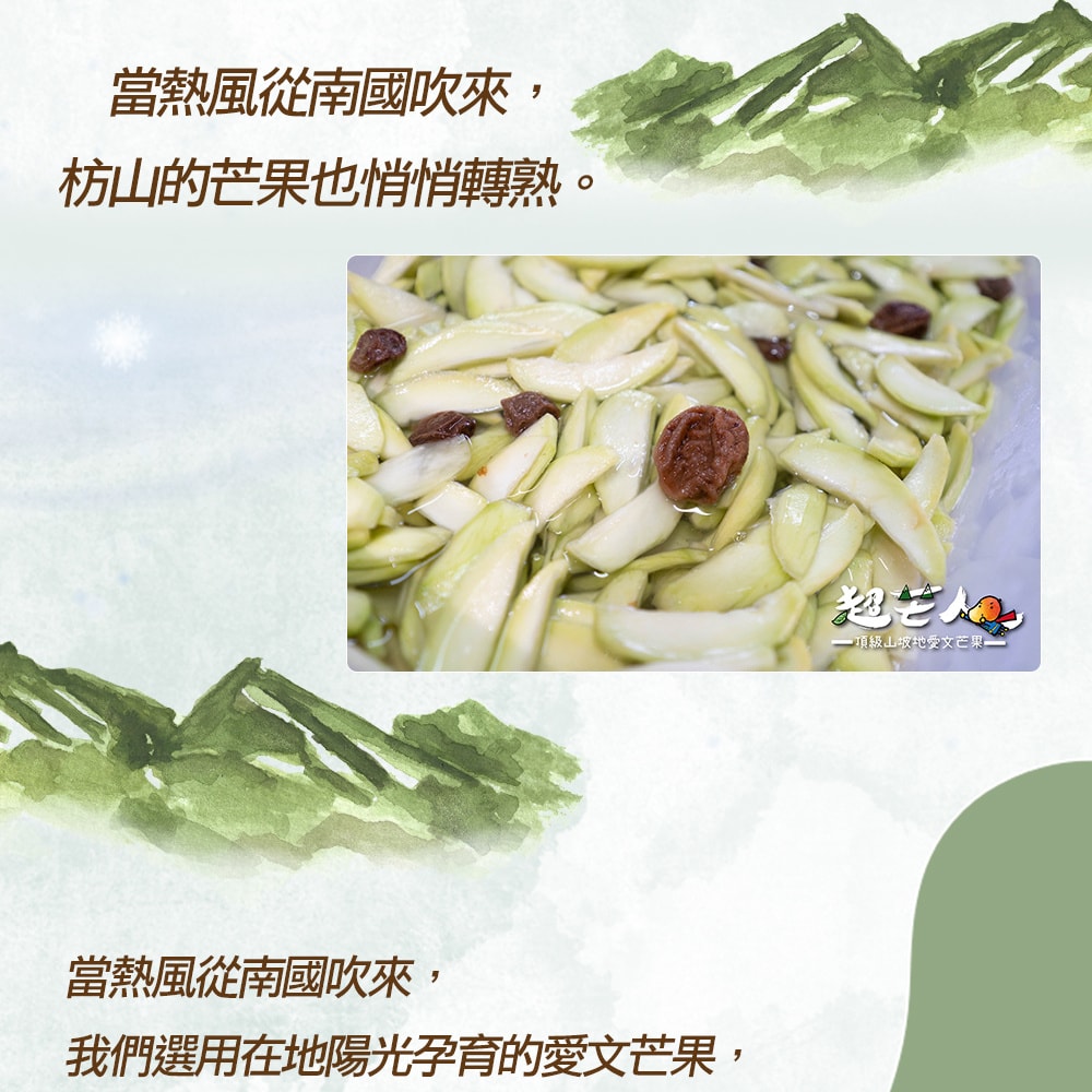 【禾鴻】【超芒人農場】屏東枋山古早梅子口味芒果青x12罐(500g/罐_固形物250g/罐)