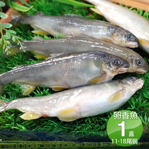 【築地一番鮮】宜蘭帶卵小香魚1盒(11-18尾裝/920g/盒)免運組