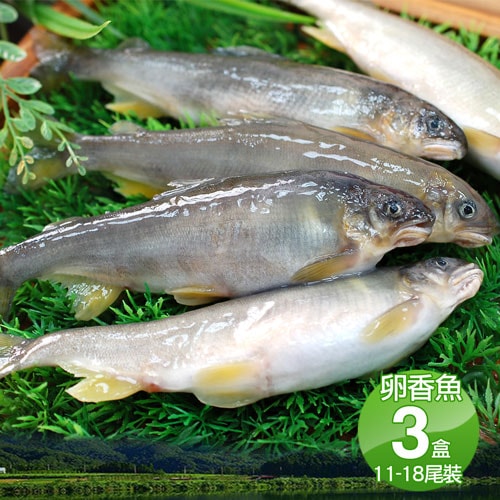 【築地一番鮮】宜蘭帶卵小香魚3盒(11-18尾裝/920g/盒)免運組