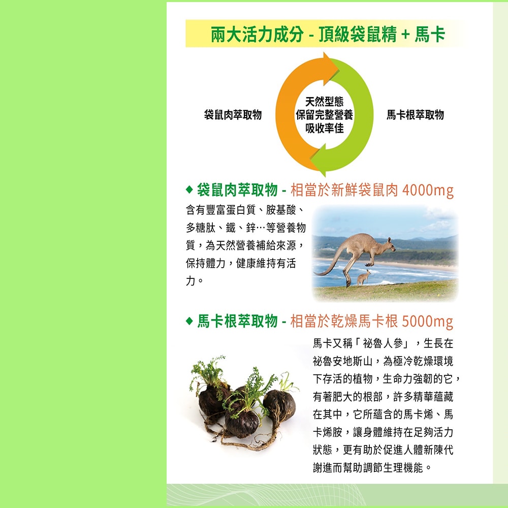 【澳洲澳倍美Belrose】頂級袋鼠精+ 馬卡膠囊-2026年5月31日到期(4入組 30顆/瓶)