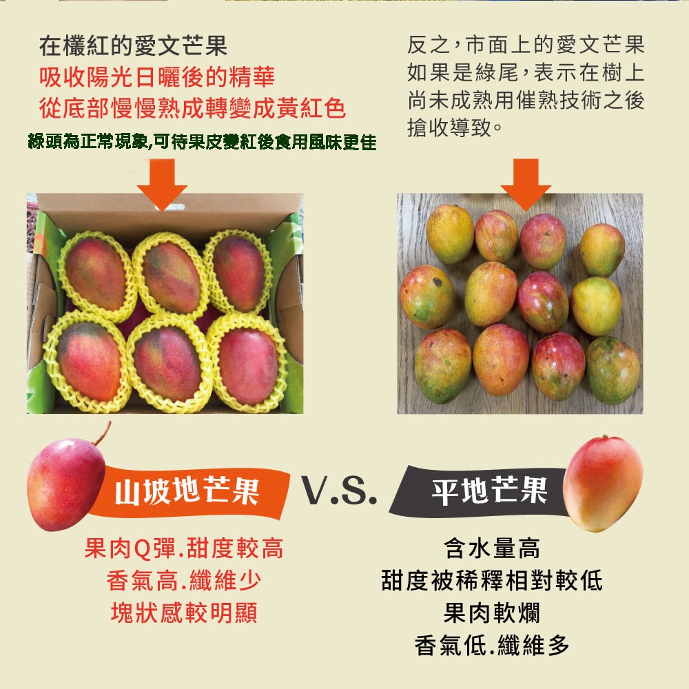 【初品果】屏東枋山愛文芒果禮盒4斤5-7顆x2盒(預購預計5/1-5/7開始陸續出貨)