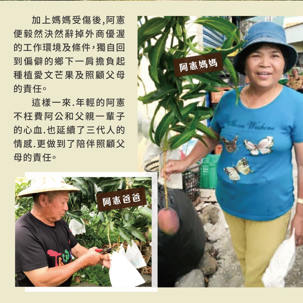 【初品果】屏東枋山愛文芒果禮盒4斤5-7顆x2盒(預購預計5/1-5/7開始陸續出貨)