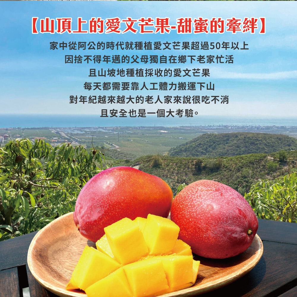 【初品果】屏東枋山愛文芒果禮盒4斤5-7顆x2盒(預購預計5/1-5/7開始陸續出貨)