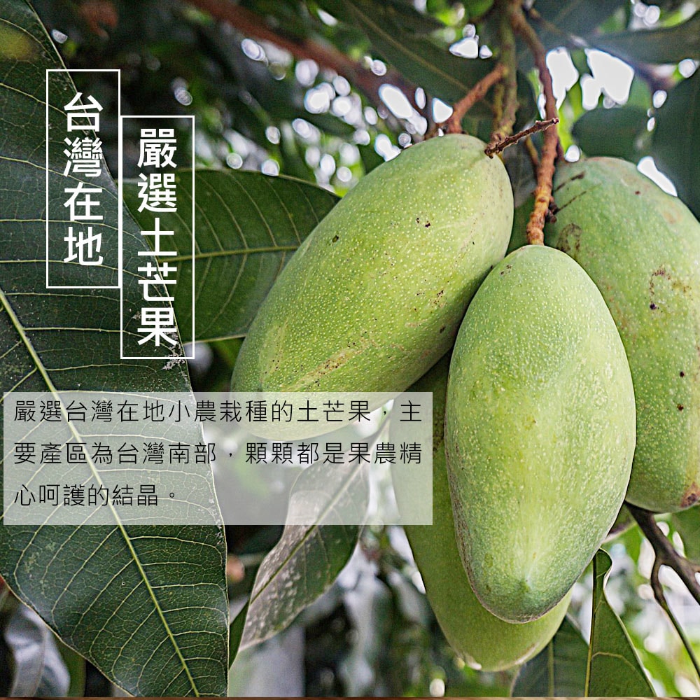 【金山水果】預購 屏東台灣嚴選土芒果2.5台斤±10%(約11-14顆)，下訂後5個工作天內出貨