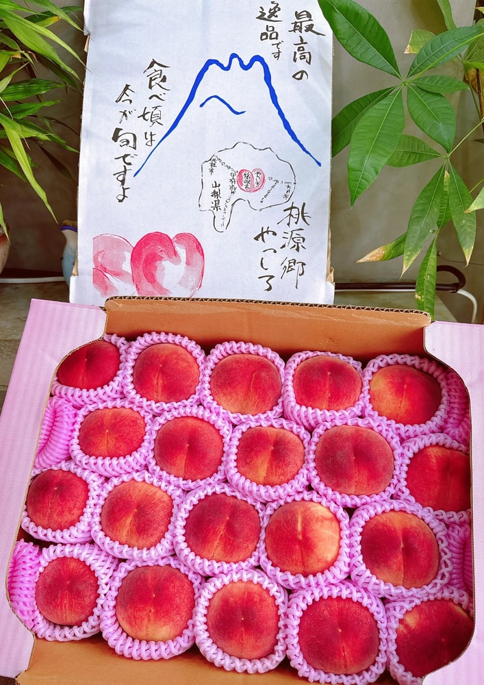 【帕查嬤嬤】🇯🇵日本 山梨八代《一桃匠》日川白鳳桃🍑｜日本水蜜桃禮盒
