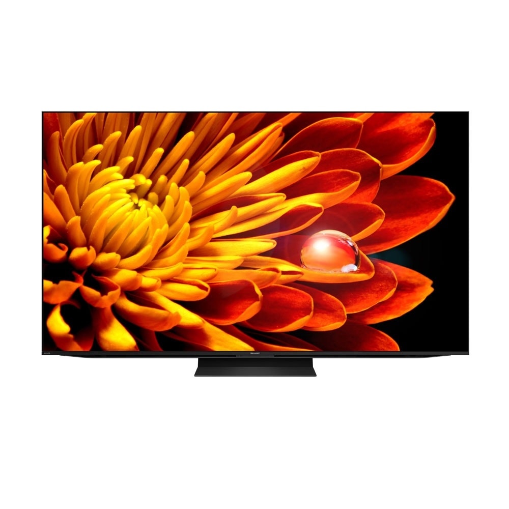 【SHARP 夏普】【4T-C75FV1X】75吋4K聯網電視(含標準安裝)