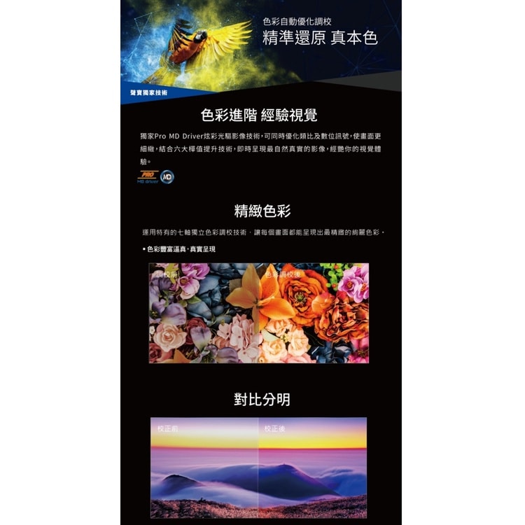 【SAMPO 聲寶】【EM-43CBS200】43吋電視(無安裝)