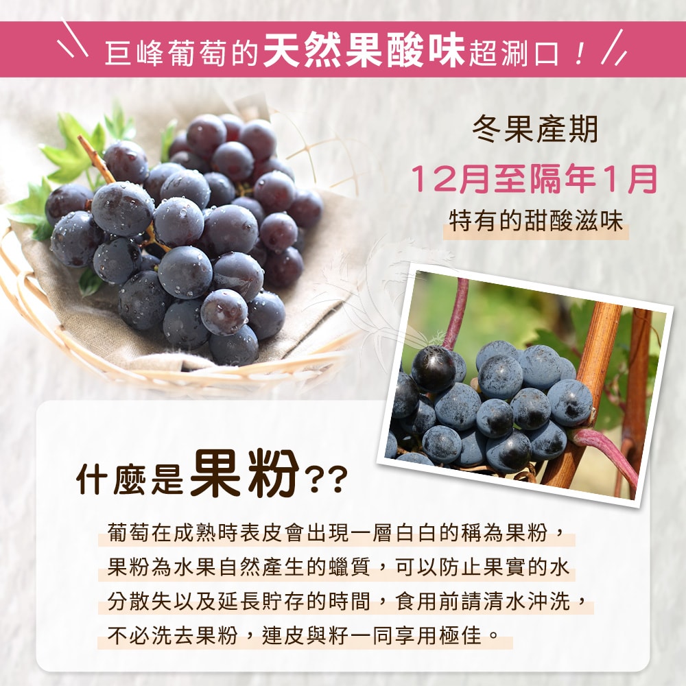 【禾鴻】【禾鴻】苗栗卓蘭優等巨峰葡萄5斤x2盒(8-10串/盒)