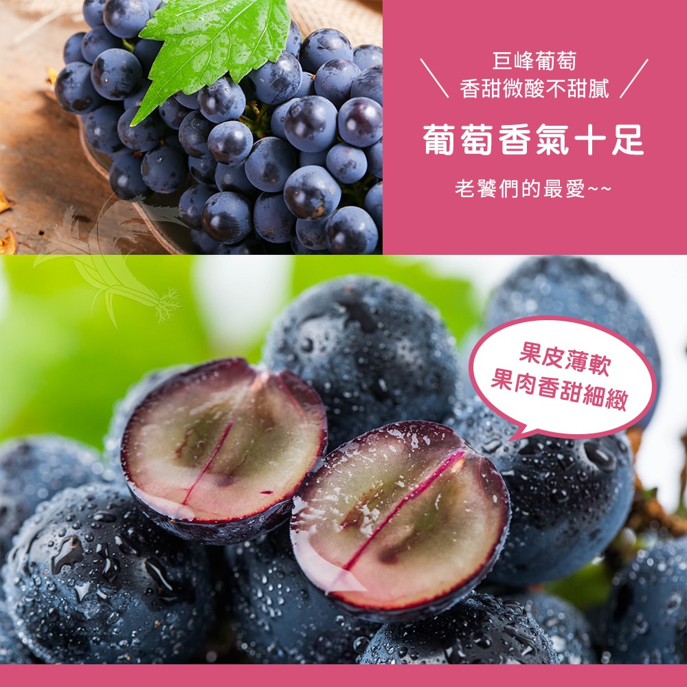 【禾鴻】【禾鴻】苗栗卓蘭優等巨峰葡萄5斤x2盒(8-10串/盒)