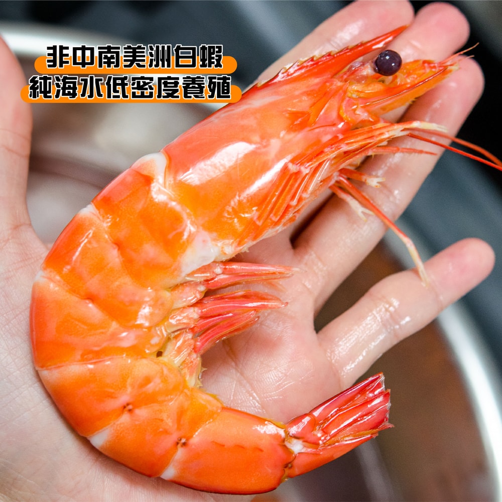 【鮮綠生活】(免運組)巨無霸無毒白蝦皇16/20(600克/約9-11尾/盒)共4盒