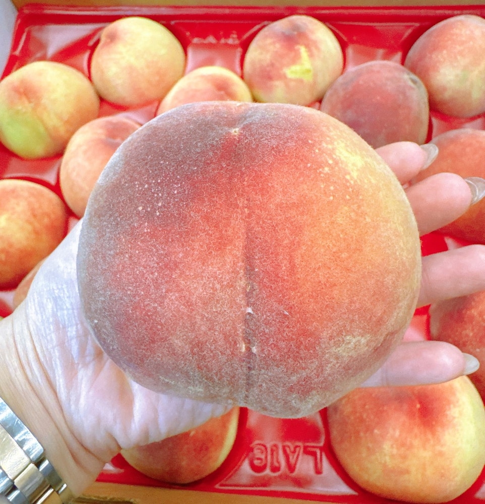 【帕查嬤嬤】🇺🇸美國 加州 頂級 加重版 桃仙子 水蜜桃🍑|美國進口水果