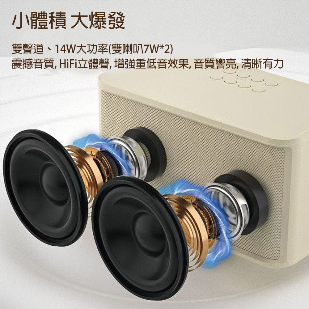 【KooPin】雙人對唱行動KTV/藍牙喇叭無線麥克風組(附贈收納提袋)