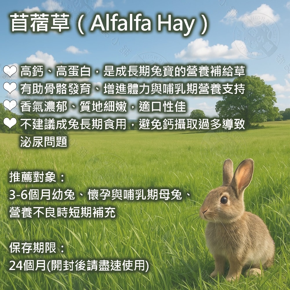 【御品小舖】一番刈牧草 1kg (非夾鏈袋裝) 提摩西草 甜燕麥草 苜蓿草 果園草 挑嘴兔 磨牙 維持消化 高鈣高蛋白 適口性佳