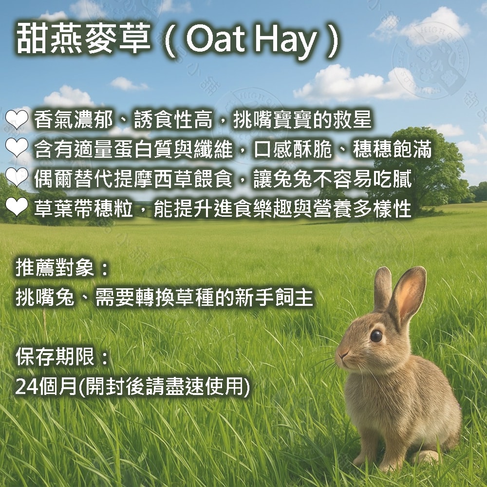【御品小舖】一番刈牧草 1kg (非夾鏈袋裝) 提摩西草 甜燕麥草 苜蓿草 果園草 挑嘴兔 磨牙 維持消化 高鈣高蛋白 適口性佳