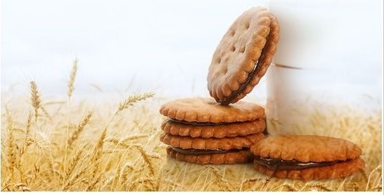 【古坑農會】任-加比山咖啡黑糖麥芽餅-500g-包 (1包組)