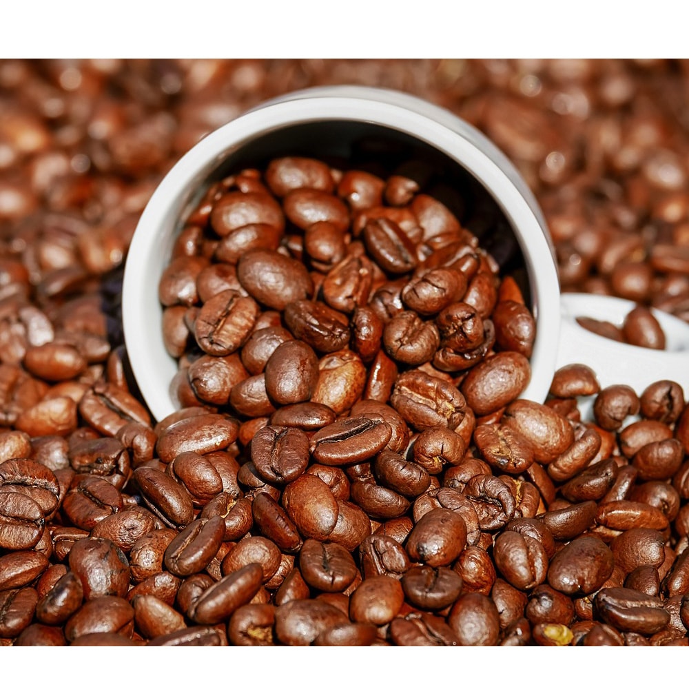 【古坑農會】任-加比山三合一(微甜)即溶咖啡-17g-18入-盒 (1盒組)