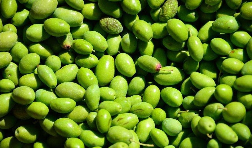 【國姓鄉農會】任-古早味橄欖-260g-包 (1包組)