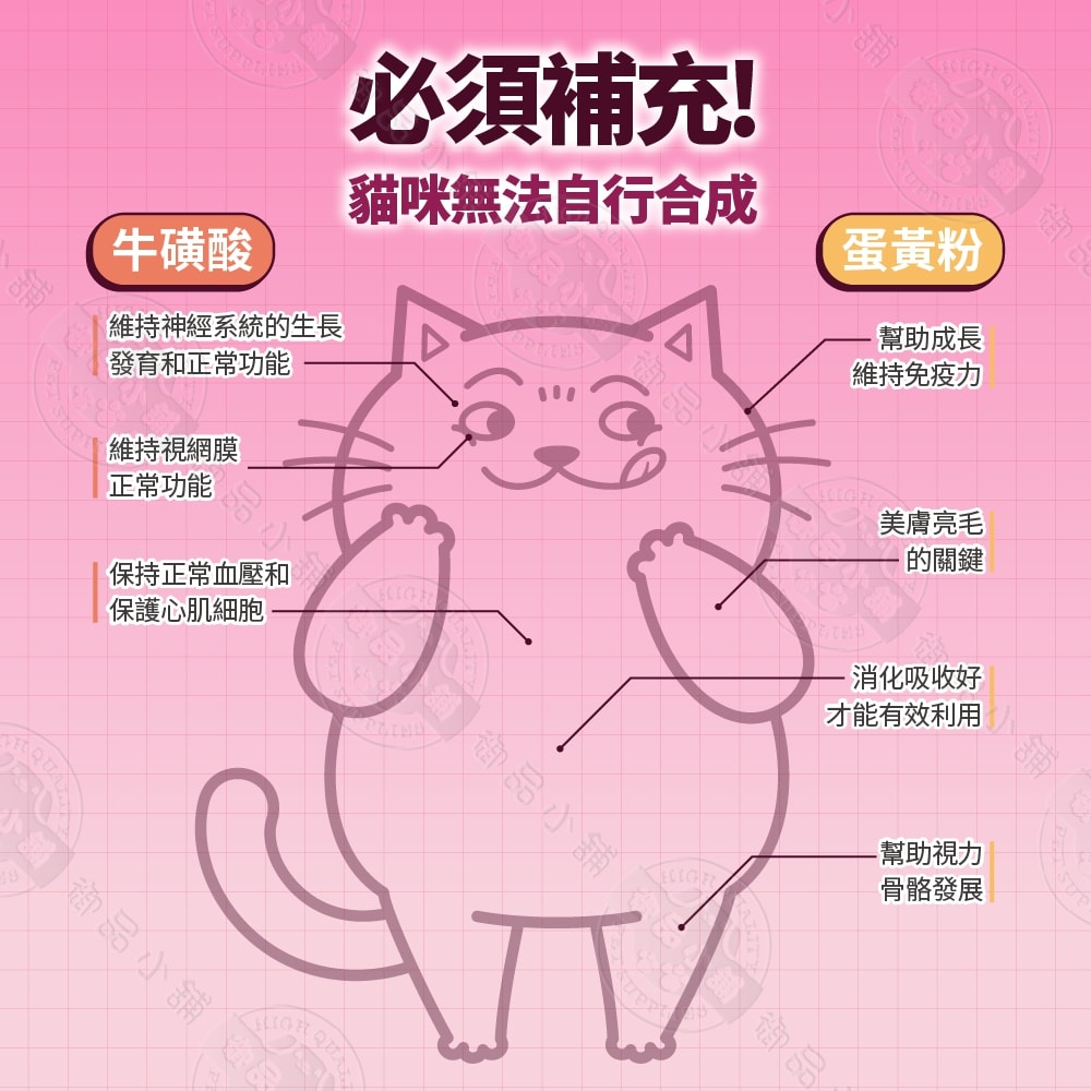 【肉球世界】12包組 南極磷蝦美毛包45g 肉泥 貓主食餐包 加強保養 添加1%南極磷蝦油