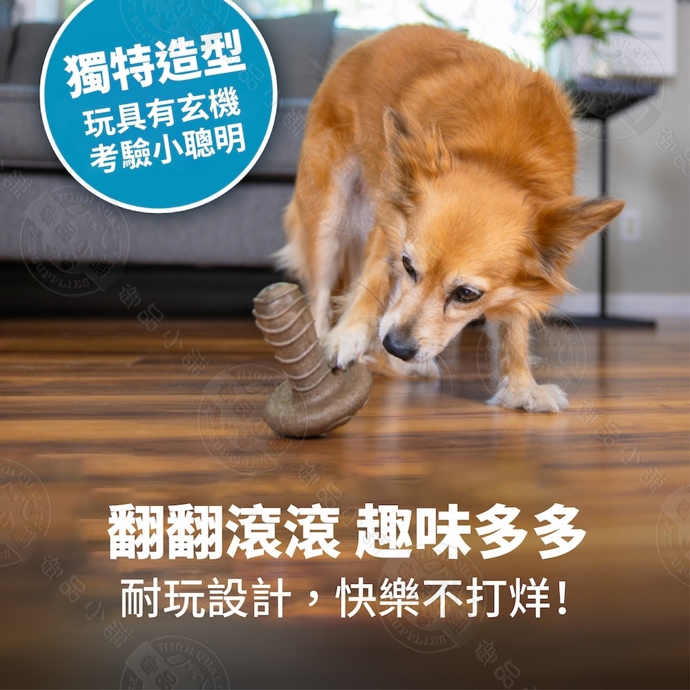 【Petstages】71675 蘑菇史迪克 抗憂鬱 舒緩焦慮 耐咬 啃咬 咀嚼 狗潔牙玩具 安全無毒 中/大型犬適用