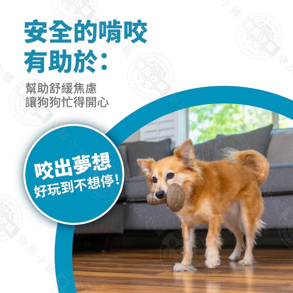 【Petstages】71675 蘑菇史迪克 抗憂鬱 舒緩焦慮 耐咬 啃咬 咀嚼 狗潔牙玩具 安全無毒 中/大型犬適用