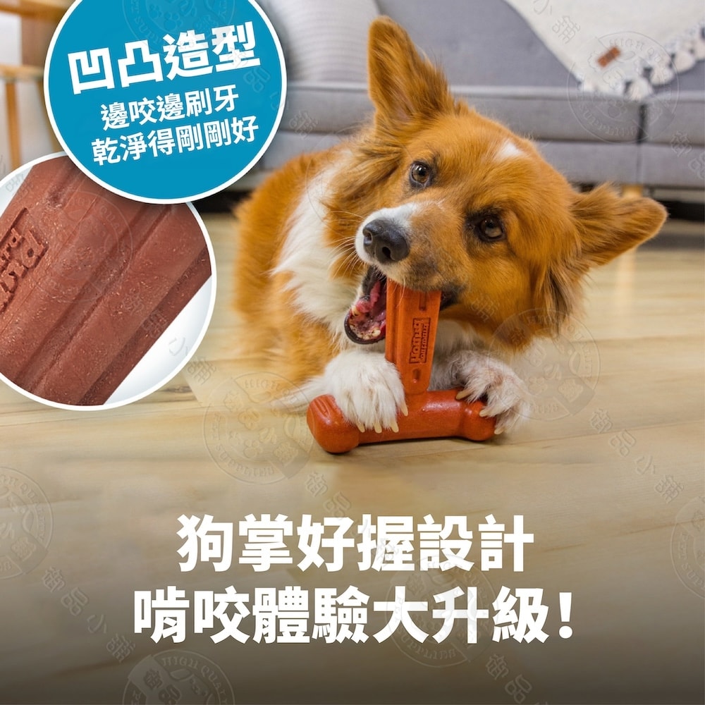 【Petstages】71676 T型BBQ史迪克 潔牙 啃咬 咀嚼 安全無毒 抗憂鬱 狗玩具 犬玩具 成犬適用