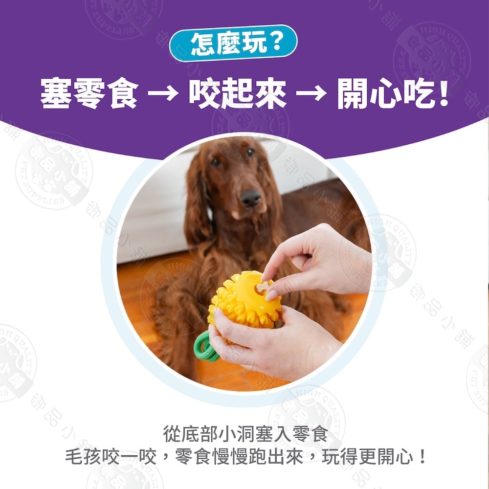 【Planet Dog】71492 咬咬鳳梨 寵物益智藏食玩具 咀嚼 填食 潔牙 互動 拋接 多功能玩法 狗玩具 犬玩具
