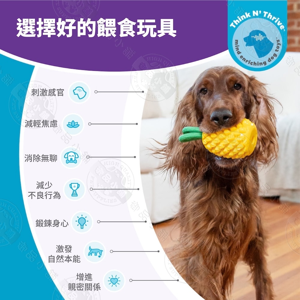 【Planet Dog】71492 咬咬鳳梨 寵物益智藏食玩具 咀嚼 填食 潔牙 互動 拋接 多功能玩法 狗玩具 犬玩具