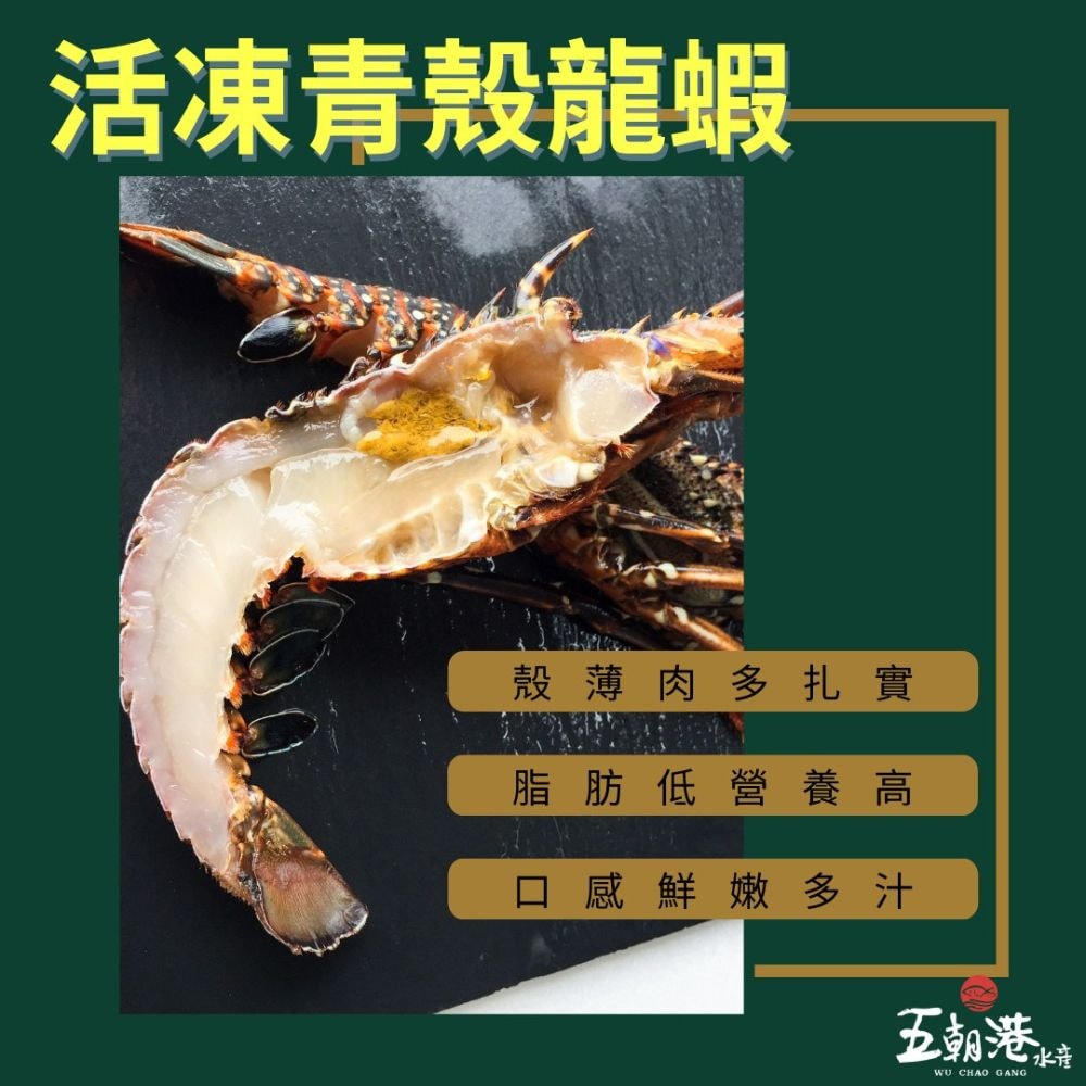【五朝港水產】小家庭呷霸超值組-8件組 3~6人份 中秋烤肉 【白蝦、扇貝、龍蝦、小卷、鮭魚下巴、午仔魚一夜乾、台灣鯛、花枝丸、鹹豬肉】