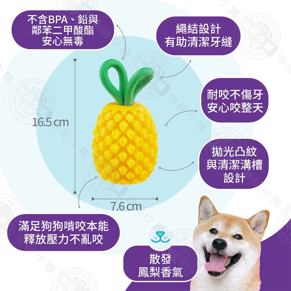 【Planet Dog】71492 咬咬鳳梨 寵物益智藏食玩具 咀嚼 填食 潔牙 互動 拋接 多功能玩法 狗玩具 犬玩具