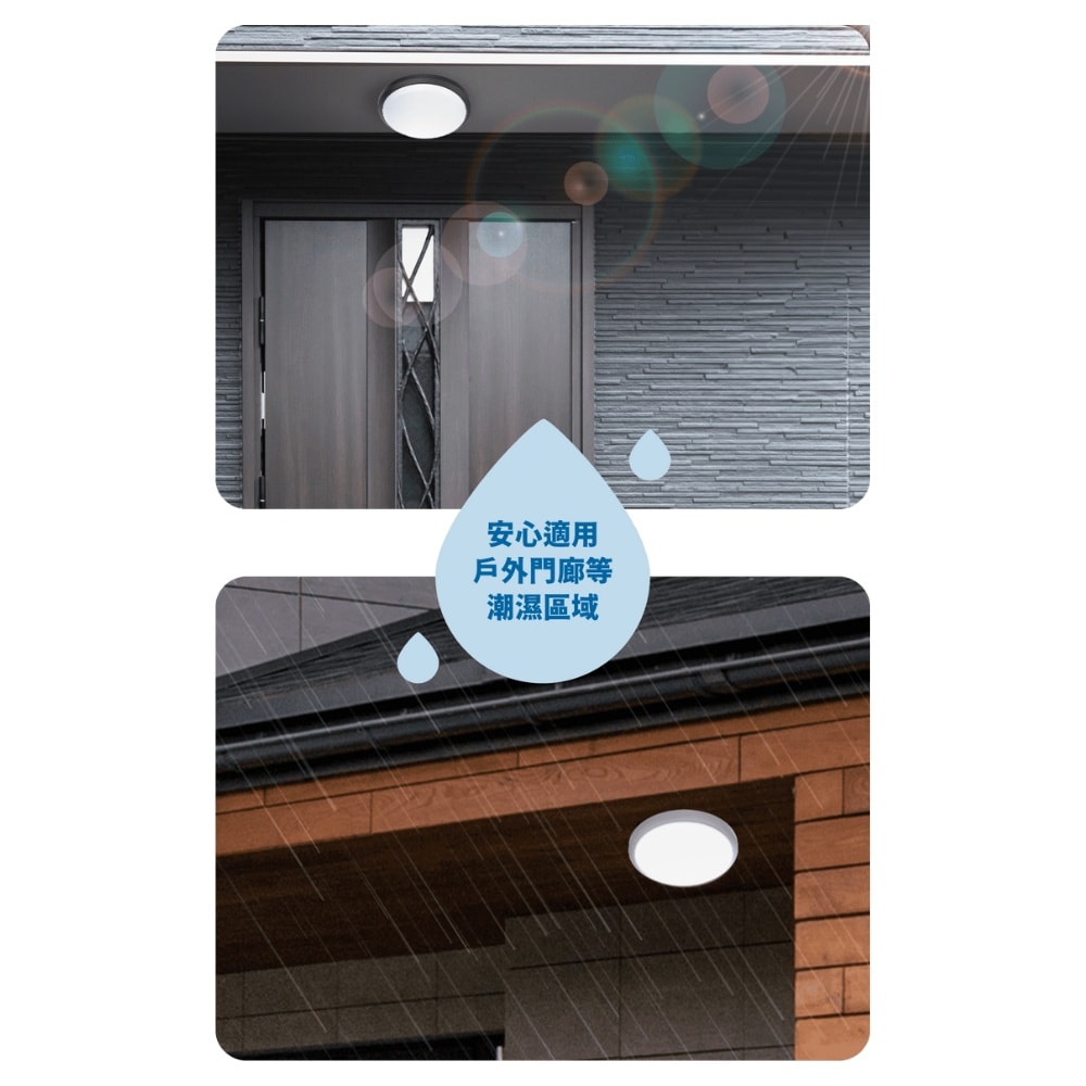 【DanceLight 舞光】白鯨 24W 防水 吸頂燈 防水 快速安裝 時尚白 貴族黑