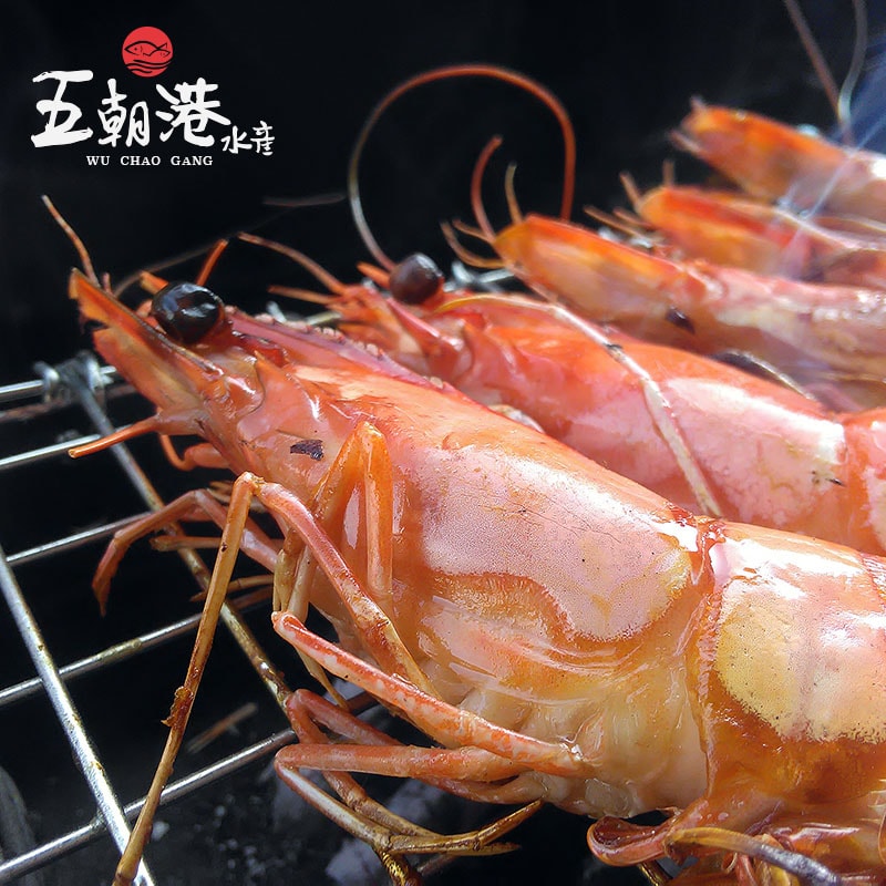 【五朝港水產】陸海空霸氣蠔華宴-10件組 約7~10人份【生蠔、鮭魚、鯖魚、雞腿排、透抽、魚卵、午仔魚、花枝丸、草蝦、松阪豬、龍蝦】