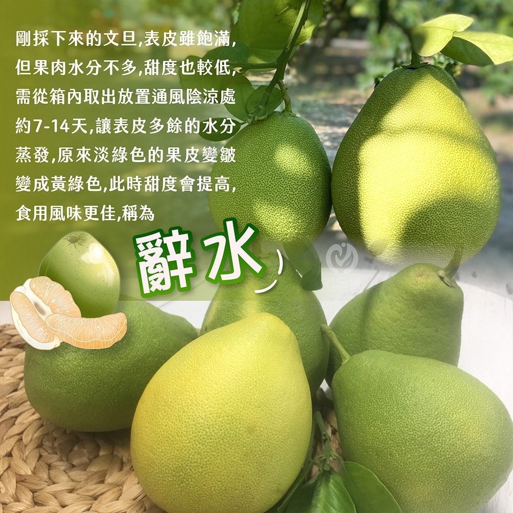 【初品果】台南麻豆老欉文旦禮盒10斤7-9顆x1箱_8/15開始陸續出貨