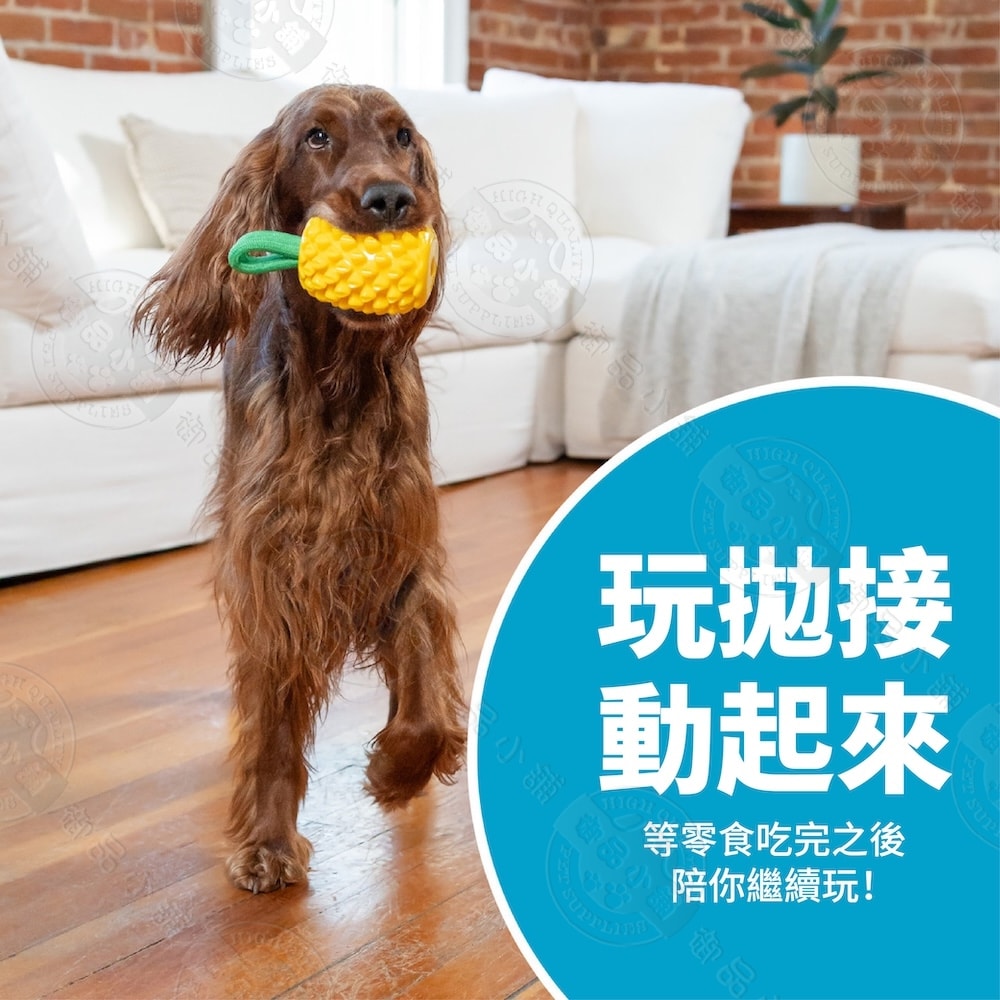 【Planet Dog】71492 咬咬鳳梨 寵物益智藏食玩具 咀嚼 填食 潔牙 互動 拋接 多功能玩法 狗玩具 犬玩具