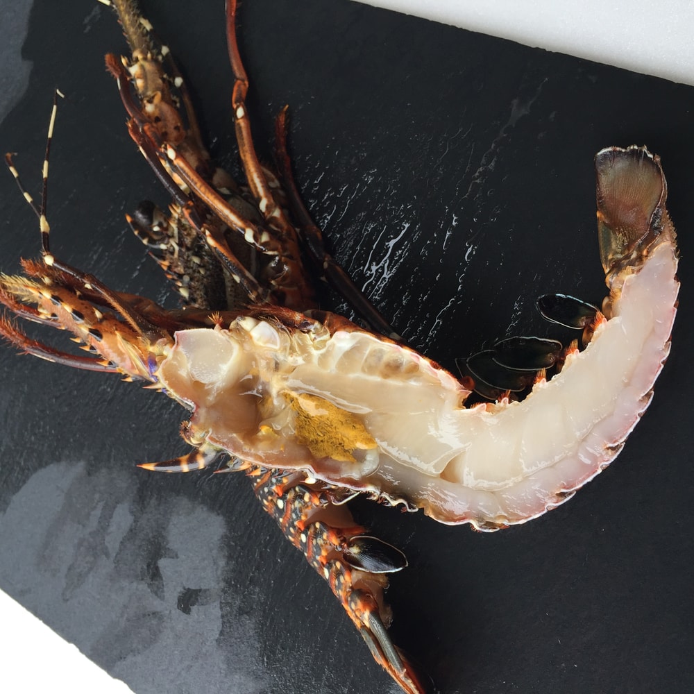 【五朝港水產】陸海空霸氣蠔華宴-10件組 約7~10人份【生蠔、鮭魚、鯖魚、雞腿排、透抽、魚卵、午仔魚、花枝丸、草蝦、松阪豬、龍蝦】