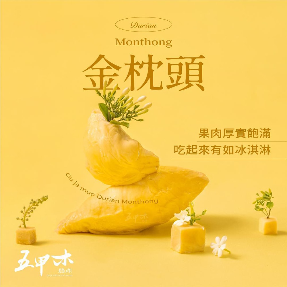 【五甲木】泰國金枕頭榴槤(300g/盒，共4盒)-下單3個工作天出貨