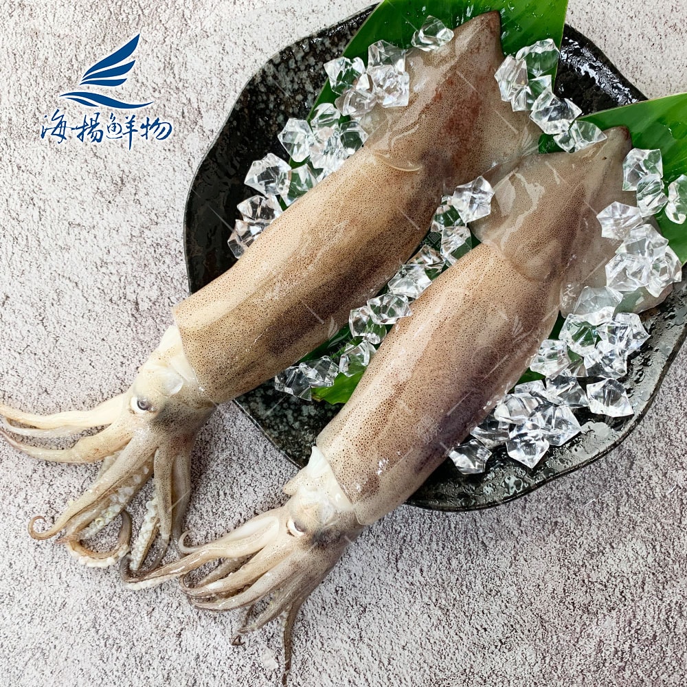 【海揚鮮物】阿根廷大魷魚2入組(350g/隻)