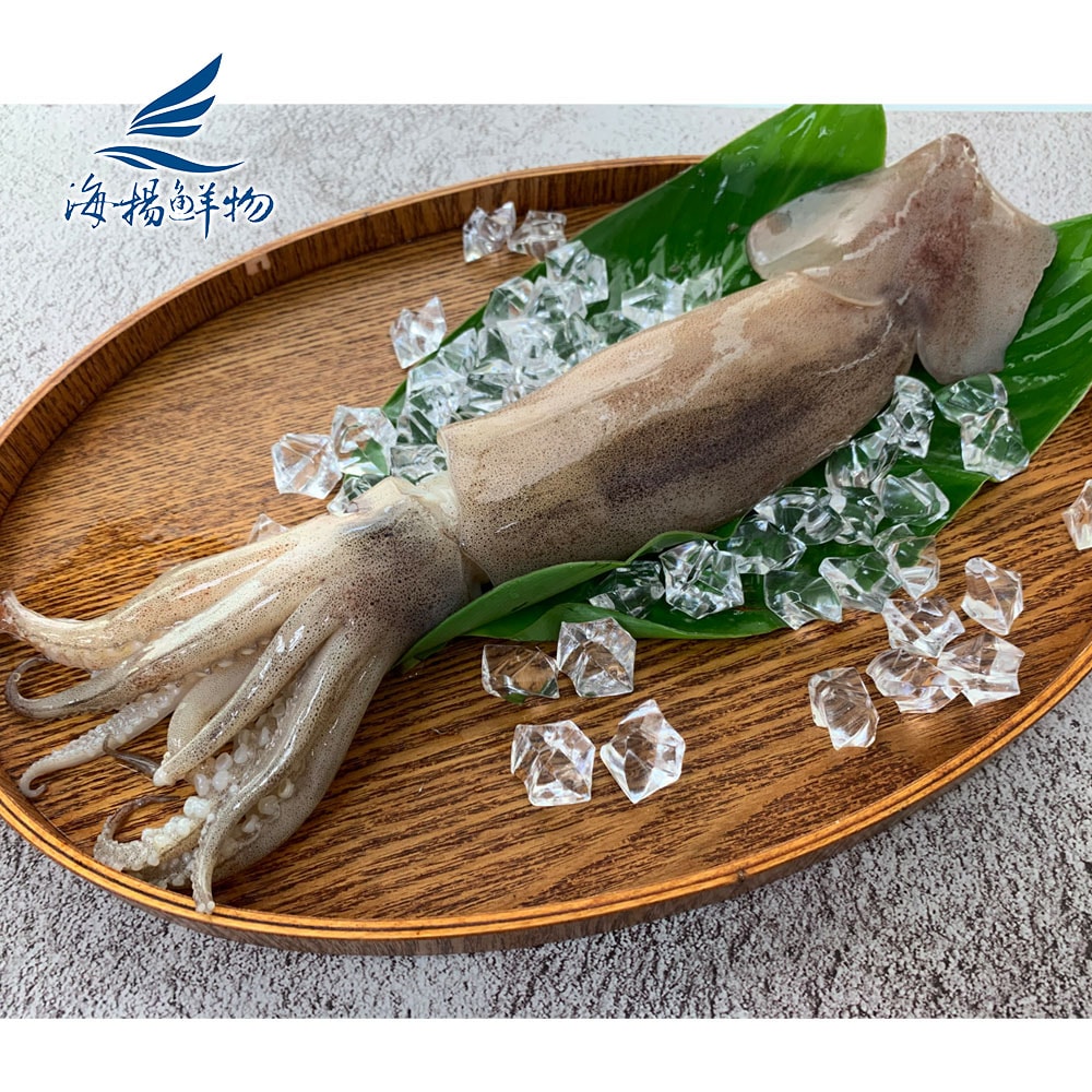【海揚鮮物】阿根廷大魷魚2入組(350g/隻)